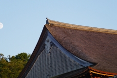 025 honshu und kyushu copyright piotr nogal