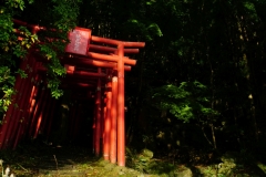 049 honshu und kyushu copyright piotr nogal