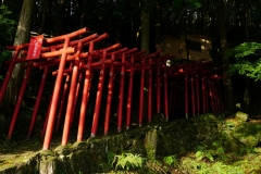 050 honshu und kyushu copyright piotr nogal
