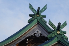 058 honshu und kyushu copyright piotr nogal