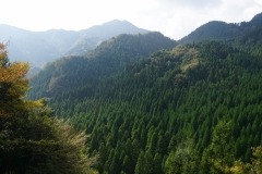 065 honshu und kyushu copyright piotr nogal