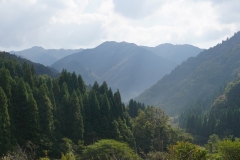 067 honshu und kyushu copyright piotr nogal