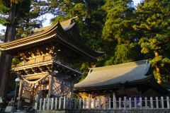 075 honshu und kyushu copyright piotr nogal