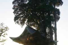 077 honshu und kyushu copyright piotr nogal