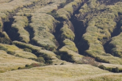098 honshu und kyushu copyright piotr nogal