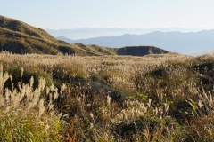 107 honshu und kyushu copyright piotr nogal