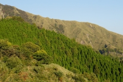 109 honshu und kyushu copyright piotr nogal