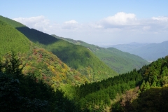 119 honshu und kyushu copyright piotr nogal
