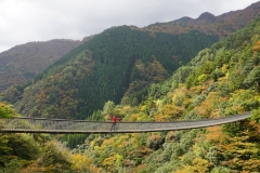 124 honshu und kyushu copyright piotr nogal
