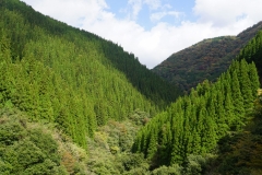 126 honshu und kyushu copyright piotr nogal