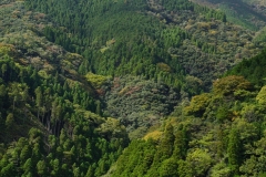 133 honshu und kyushu copyright piotr nogal