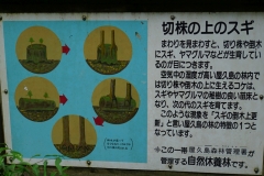 268 honshu und kyushu copyright piotr nogal