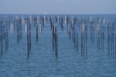 323 honshu und kyushu copyright piotr nogal
