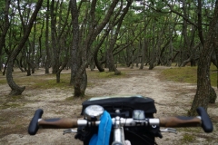 337 honshu und kyushu copyright piotr nogal