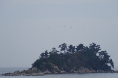 342 honshu und kyushu copyright piotr nogal
