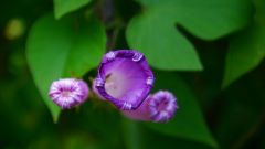 La Reunion copyright piotr nogal 20191204_121520