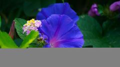 La Reunion copyright piotr nogal 20191204_122002