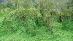 La Reunion copyright piotr nogal 20191204_124408