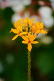 La Reunion copyright piotr nogal 20191204_131345
