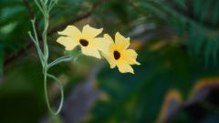 La Reunion copyright piotr nogal 20191204_160151