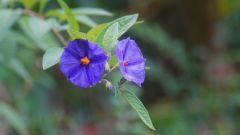 La Reunion copyright piotr nogal 20191204_160217