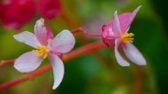 La Reunion copyright piotr nogal 20191204_161212