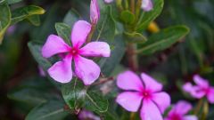 La Reunion copyright piotr nogal 20191204_164220