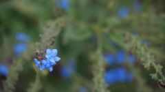 La Reunion copyright piotr nogal 20191204_164409