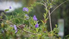La Reunion copyright piotr nogal 20191204_164424