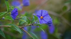 La Reunion copyright piotr nogal 20191204_164517