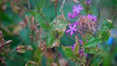 La Reunion copyright piotr nogal 20191204_164636