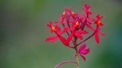 La Reunion copyright piotr nogal 20191204_164732