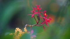 La Reunion copyright piotr nogal 20191204_164900
