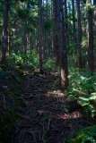 La Reunion copyright piotr nogal 20191205_081733