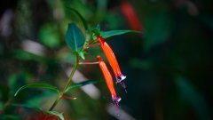 La Reunion copyright piotr nogal 20191205_092531