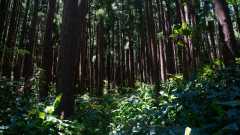 La Reunion copyright piotr nogal 20191205_105647
