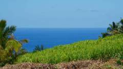 La Reunion copyright piotr nogal 20191206_121000