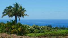 La Reunion copyright piotr nogal 20191206_121049