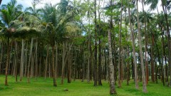 La Reunion copyright piotr nogal 20191206_122133