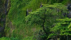 La Reunion copyright piotr nogal 20191206_122615