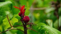 La Reunion copyright piotr nogal 20191206_124537