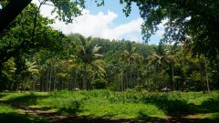La Reunion copyright piotr nogal 20191206_124742