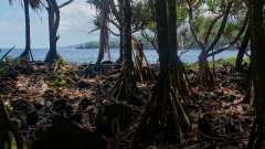 La Reunion copyright piotr nogal 20191206_124857