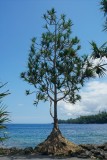 La Reunion copyright piotr nogal 20191206_130242