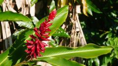 La Reunion copyright piotr nogal 20191207_071518