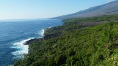 La Reunion copyright piotr nogal 20191207_072608