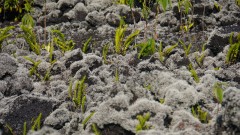 La Reunion copyright piotr nogal 20191207_073042
