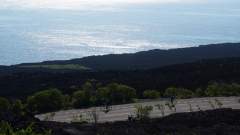 La Reunion copyright piotr nogal 20191207_080233