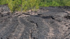 La Reunion copyright piotr nogal 20191207_091922