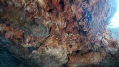 La Reunion copyright piotr nogal 20191207_093035